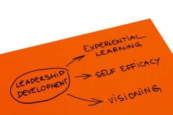 Executive Coaching Services