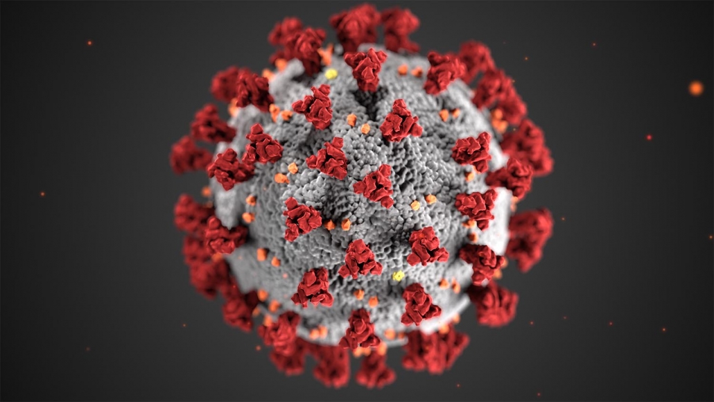 coronavirus CDC Coronavirus illustration